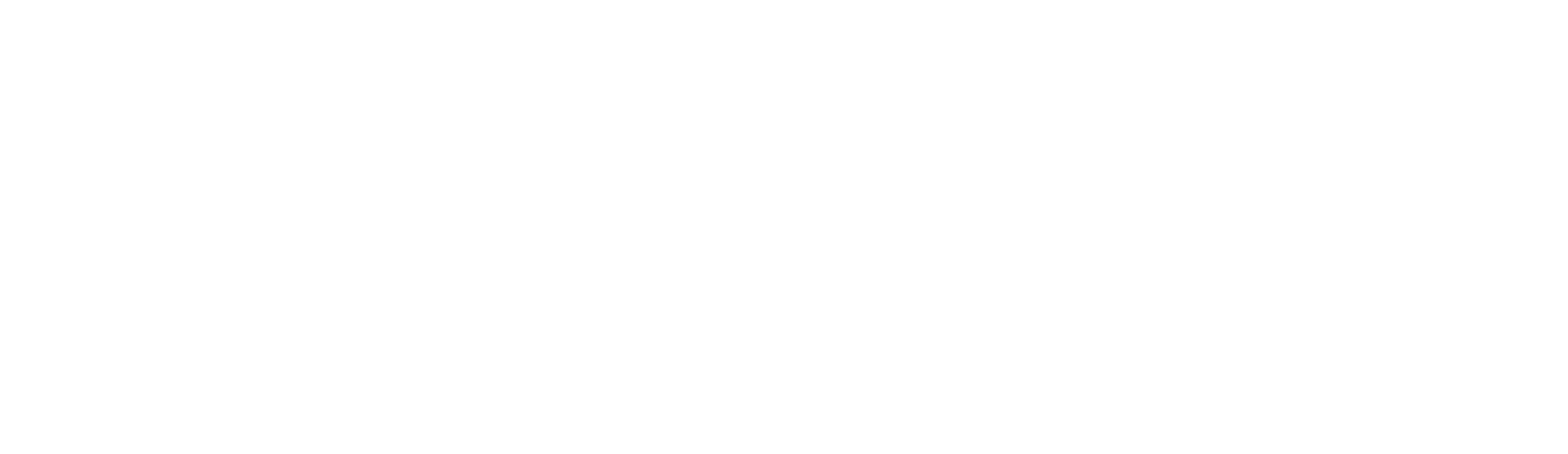 Satine_Logo_2W